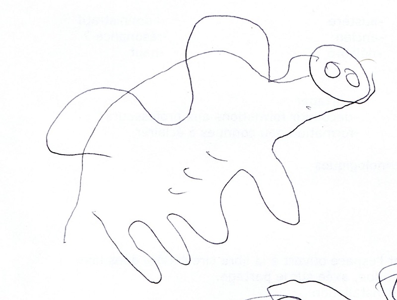cochon