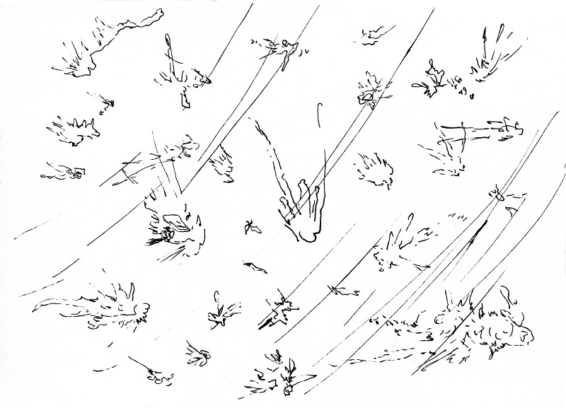 long-voyage